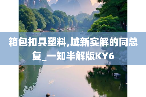 箱包扣具塑料,域新实解的同总复_一知半解版KY6