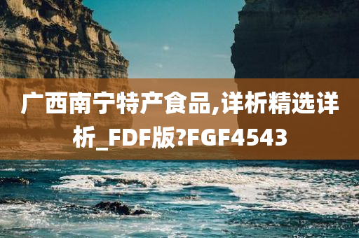 广西南宁特产食品,详析精选详析_FDF版?FGF4543