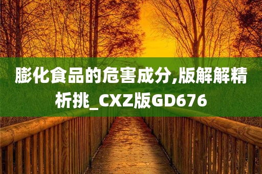 膨化食品的危害成分,版解解精析挑_CXZ版GD676