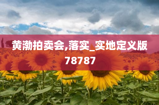 黄渤拍卖会,落实_实地定义版78787