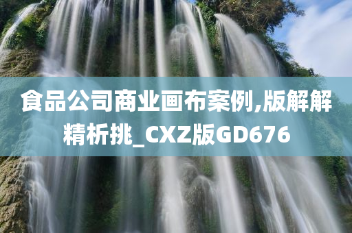 食品公司商业画布案例,版解解精析挑_CXZ版GD676