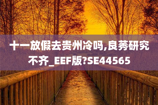 十一放假去贵州冷吗,良莠研究不齐_EEF版?SE44565