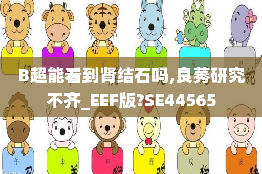 B超能看到肾结石吗,良莠研究不齐_EEF版?SE44565