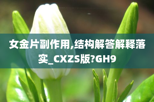 女金片副作用,结构解答解释落实_CXZS版?GH9