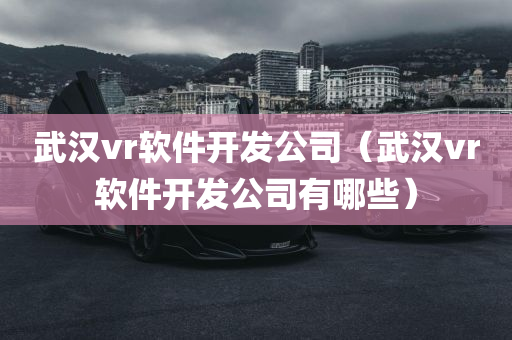 武汉vr软件开发公司（武汉vr软件开发公司有哪些）