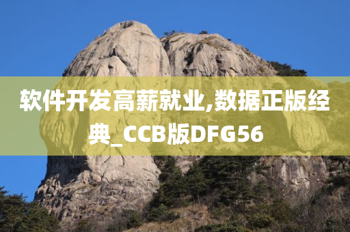 软件开发高薪就业,数据正版经典_CCB版DFG56