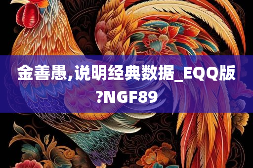 金善愚,说明经典数据_EQQ版?NGF89