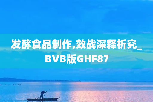 发酵食品制作,效战深释析究_BVB版GHF87