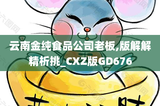 云南金纯食品公司老板,版解解精析挑_CXZ版GD676