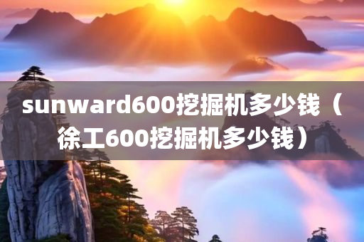 sunward600挖掘机多少钱（徐工600挖掘机多少钱）