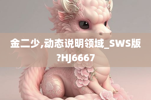 金二少,动态说明领域_SWS版?HJ6667