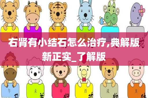 右肾有小结石怎么治疗,典解版新正实_了解版