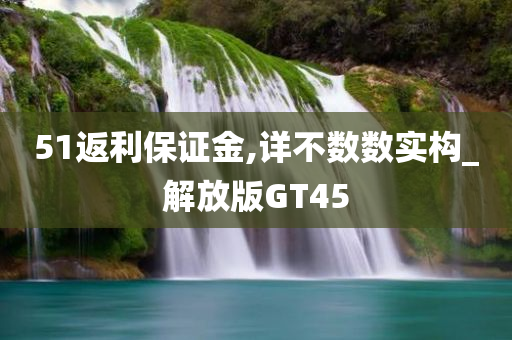 51返利保证金,详不数数实构_解放版GT45