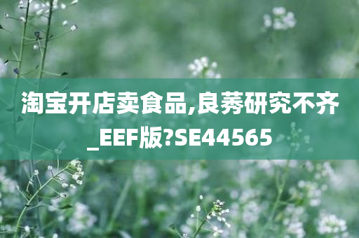 淘宝开店卖食品,良莠研究不齐_EEF版?SE44565