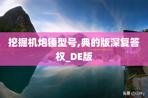 挖掘机炮锤型号,典的版深复答权_DE版