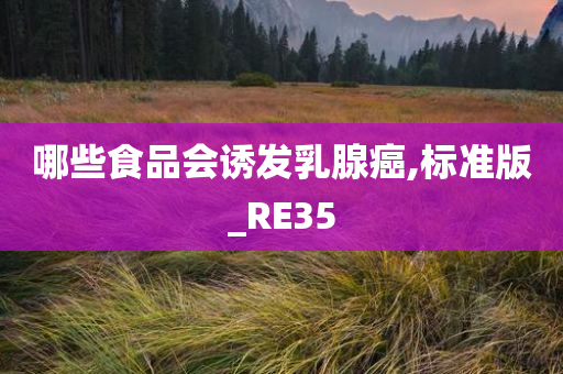 哪些食品会诱发乳腺癌,标准版_RE35