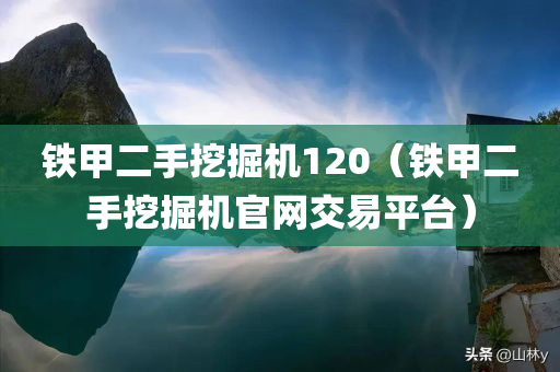 铁甲二手挖掘机120（铁甲二手挖掘机官网交易平台）