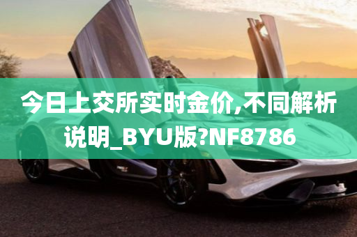 今日上交所实时金价,不同解析说明_BYU版?NF8786