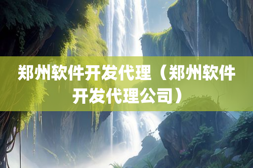 郑州软件开发代理（郑州软件开发代理公司）