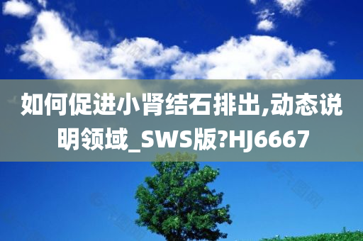 如何促进小肾结石排出,动态说明领域_SWS版?HJ6667