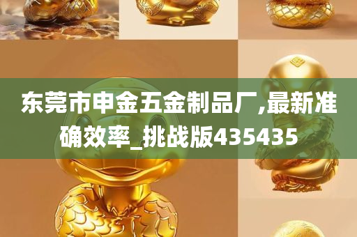 东莞市申金五金制品厂,最新准确效率_挑战版435435