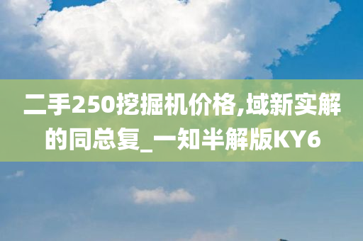 二手250挖掘机价格,域新实解的同总复_一知半解版KY6