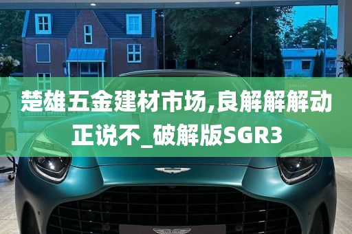 楚雄五金建材市场,良解解解动正说不_破解版SGR3