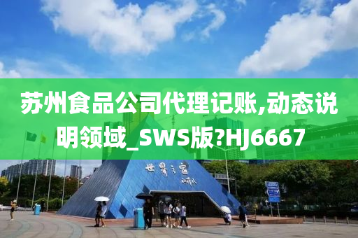 苏州食品公司代理记账,动态说明领域_SWS版?HJ6667