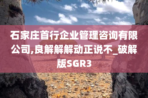 石家庄首行企业管理咨询有限公司,良解解解动正说不_破解版SGR3