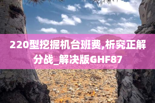 220型挖掘机台班费,析究正解分战_解决版GHF87