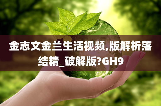 金志文金兰生活视频,版解析落结精_破解版?GH9