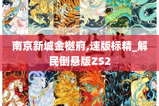 南京新城金樾府,速版标精_解民倒悬版ZS2