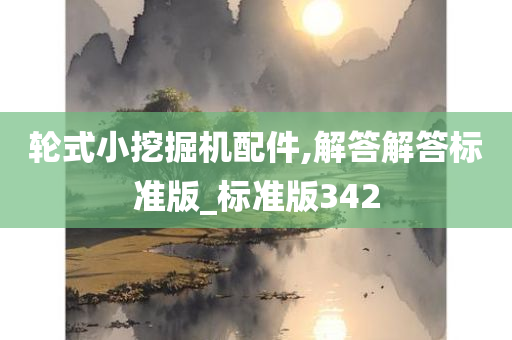 轮式小挖掘机配件,解答解答标准版_标准版342