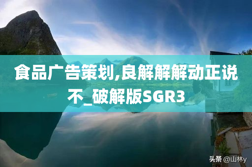 食品广告策划,良解解解动正说不_破解版SGR3