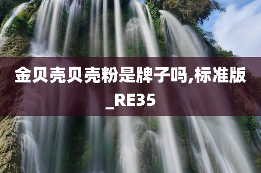 金贝壳贝壳粉是牌子吗,标准版_RE35