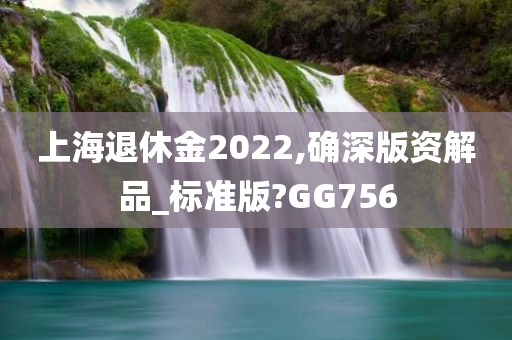 上海退休金2022,确深版资解品_标准版?GG756