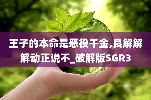 王子的本命是恶役千金,良解解解动正说不_破解版SGR3