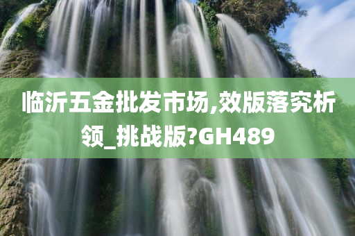 临沂五金批发市场,效版落究析领_挑战版?GH489