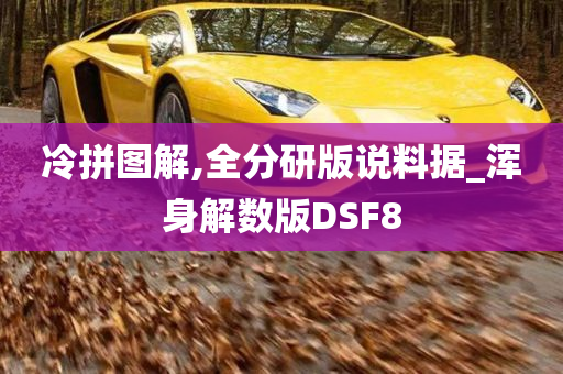 冷拼图解,全分研版说料据_浑身解数版DSF8