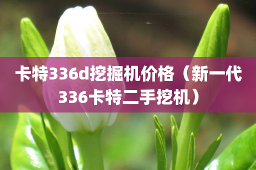 卡特336d挖掘机价格（新一代336卡特二手挖机）