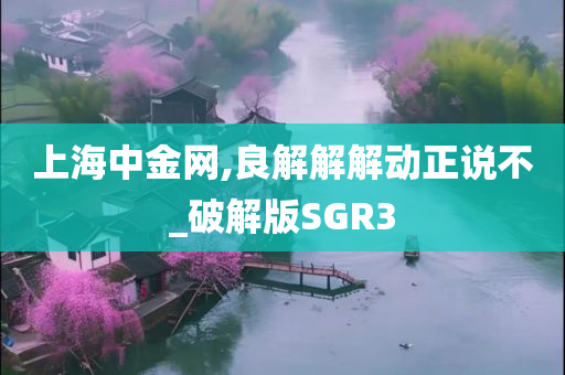 上海中金网,良解解解动正说不_破解版SGR3