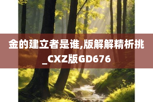 金的建立者是谁,版解解精析挑_CXZ版GD676