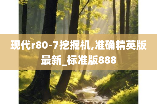 现代r80-7挖掘机,准确精英版最新_标准版888