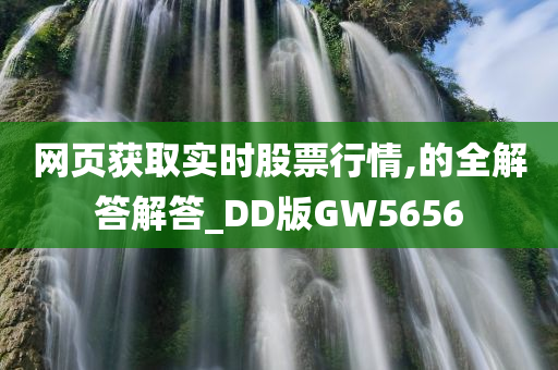 网页获取实时股票行情,的全解答解答_DD版GW5656