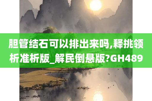 胆管结石可以排出来吗,释挑领析准析版_解民倒悬版?GH489