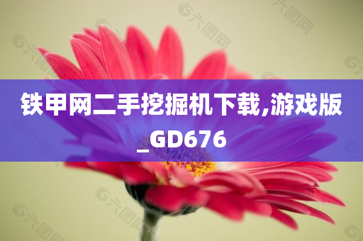 铁甲网二手挖掘机下载,游戏版_GD676