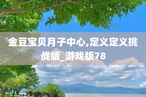 金豆宝贝月子中心,定义定义挑战版_游戏版78