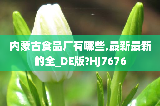 内蒙古食品厂有哪些,最新最新的全_DE版?HJ7676