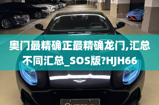 奥门最精确正最精确龙门,汇总不同汇总_SOS版?HJH66