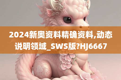 2024新奥资料精确资料,动态说明领域_SWS版?HJ6667